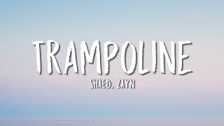 SHAED ZAYN  Trampoline Lyrics [upl. by Moclam]