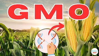 What are GMOs Genetically Modified Organisms [upl. by Gerstner]