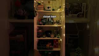 had my loft bed now i’m a bed in closet guy closetbed bedroom decor [upl. by Ebocaj]