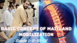 Maitland Mobilization Grade  spine mobilization  Thoracic Spine Glide Maitland technique [upl. by Onaicnop]