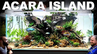 Electric Blue amp Royal Acara Tank EPIC 4ft Aquascape Tutorial [upl. by Nomae]