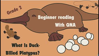 Beginner Reading What is DuckBilled Platypus Grade 2 IB Curriculum DRP reads [upl. by Enram686]