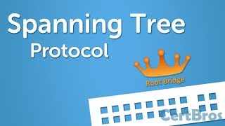 Spanning Tree Protocol Explained  Step by Step [upl. by Aljan755]