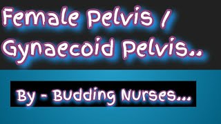 Female pelvis Gynaecoid pelvis  Pelvis  Practical Exams  Obstetrics [upl. by Marvel]