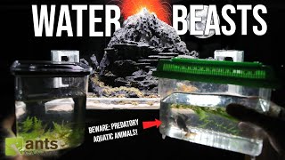 I Added WATER BEASTS to My Volcano Ant Paludarium [upl. by Hubble]