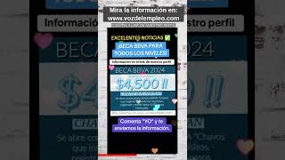 Obtén la beca de bbva para todos los niveles educativos [upl. by Oicinoid]