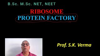 RIBOSOME STRUCTURE AND FUNCTION [upl. by Birch]