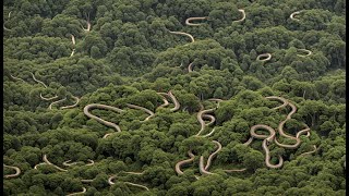 The Awesomeness of Brazils Snake Island The Mystery of the Island and the Ban on Human Arrivals [upl. by Ahseeyt642]