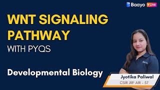 Wnt Signaling Pathway in detail with PYQs analysis csirlifesciences cellsignaling [upl. by Eojyllib325]