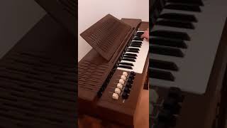 bontempi electric chord organ  sound and function [upl. by Reiss]