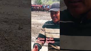 Кенже балбан kyrgyzstan horse rek fury [upl. by Uria]