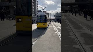 Trams 🚈❤️🇩🇪 Berlin [upl. by Esekram]