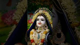 Tum hi mera prem Radha 🙏🙏 Radhashyam bhajan love believe shortsvideo [upl. by Weingarten259]