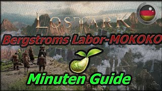 Ger Bergstroms Labor Mokoko Guide unter einer Minute [upl. by Arahc276]