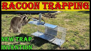 Trapping A Nuisance Racoon With My New Live Trap Invention  Link In Description Below [upl. by Uund788]