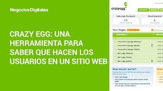 Crazy Egg Una herramienta para saber que hacen los usuarios en un sitio Web  Negocios Digitales [upl. by Savick]