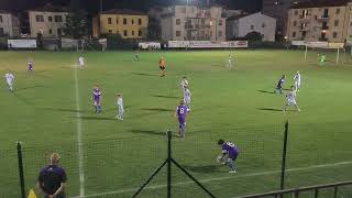 ACF FIORENTINA 2013  FC EMPOLI 2013 [upl. by Ebaj]