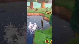 FISHING in Animal Crossing New Horizons [upl. by Arobed]