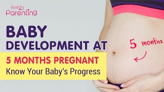 5 Month Pregnant  Know the Baby Development [upl. by Jayson]