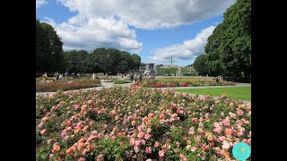 36 PLACES TO VISIT IN OSLO  NORWAY  Complete Guide oslo travel norway reise norge [upl. by Ardnuyek471]