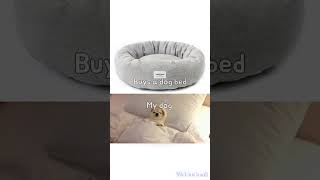 doggo memes youtubeshorts doggo meme edit subscribe random viral [upl. by Ymeon876]