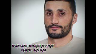 Vahan Darbinyan  Qani gnum cover by Jora Shahinyan [upl. by Ayiram]