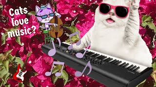 Sounds Cats Love  Do cats love music cat catmemes catlover musicforcat asmr 猫動画 猫 [upl. by Ainesey]