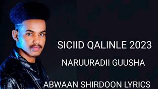 SICIID QALINLE HEES CUSUB NARUURADA GUUSHA 2023 OFFICIAL VIDEO [upl. by Gardol287]