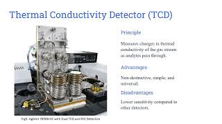 Comparison of Gas Chromatography Detectors and Application in Food Analysis [upl. by Aerdnat]