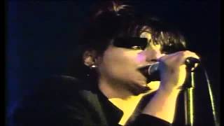 Nina Hagen  Herrmann hiess er 1978 [upl. by Asiuol]