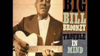 Big Bill Broonzy Black Brown and White [upl. by Mehcanem201]