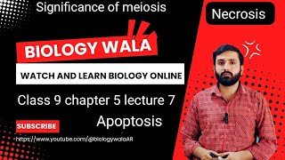 biology class 9 chapter 5 lecture 7  Significance of meiosis  Necrosis  Apoptosis [upl. by Dawaj676]