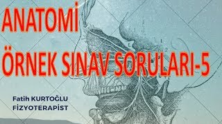 Konu ÖzetliEklemler  Anatomi Öğreten Örnek Sınav Soruları 5 [upl. by Gusta]