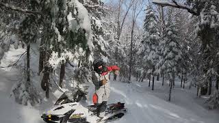 playing in the snow [upl. by Marciano]