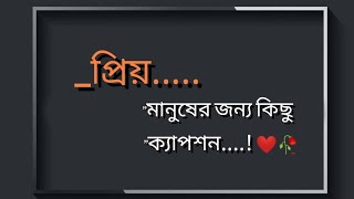 প্রিয় মানুষের জন্য কিছু ক্যাপশন ❤️caption bestcaption lovestatuskhobi303 [upl. by Ott]