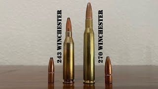 243 vs 270 Winchester Review amp Comparison [upl. by Senga]