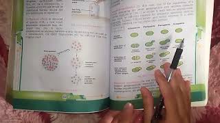 SPECIATION WITH ITS TYPES DETAILED EXPLANATION FROM NEW BOOKXII BIOLOGY CHAPTER 24 EVOLUTION [upl. by Michigan]