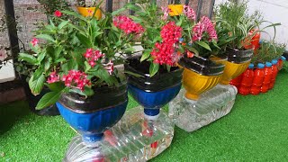 Amazing Flower Pots Recycled From Plastic Bottles  Garden Ideas [upl. by Eyr]