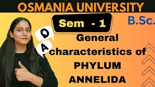 general characteristics of phylum annelida BSc  sem 1  Humera arsh bionyms [upl. by Ahsenra]