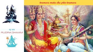 Betekenis Mantra Tvameva Mata Cha Pita Tvameva  Pandit Mahesh [upl. by Nafri]