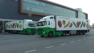 Trucks LKW vrachtwagens veiling quotThe Greeneryquot Barendrecht 2782013 deel 2 van 2 [upl. by Schwitzer]