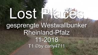 Lostplacestour gesprengte Westwallbunker RheinlandPfalz Germany 112018 [upl. by Gibbon]