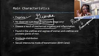 Trichomonas vaginalis [upl. by Oicelem]