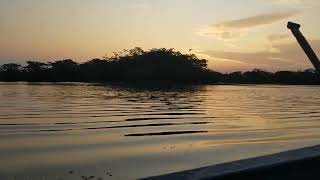 atardecer laguna grande cuyabeno [upl. by Saree]