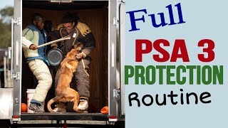 Full PSA 3 Protection Routine [upl. by Fidelity315]