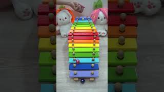 Colored Xylophone xylophone [upl. by Ydisac]