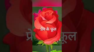 प्रेम के फूलों का रहस्य The Secret of Love Flowers [upl. by Eaj]