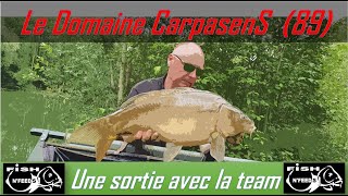 🎥🎞 Pêche à la carpe sur le domaine CarpasenS le carpodrome avec léquipe de Fishnfeeds🤟💪 [upl. by Lalo392]