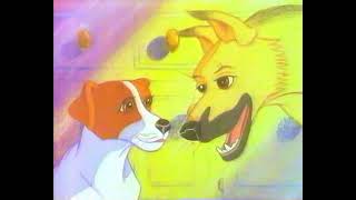 Bobtail Dry Dog Food 1990s TV advert [upl. by Aihsetel]