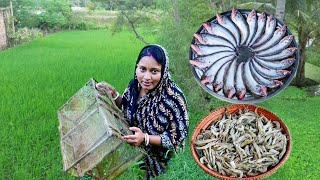 মাঠ থেকে চিংড়িমাছ ধরে কচুর লতি দিয়ে রান্না করলাম সাথে সরষে পাবদা রেসিপি  fish curry recipe [upl. by Emiolhs681]